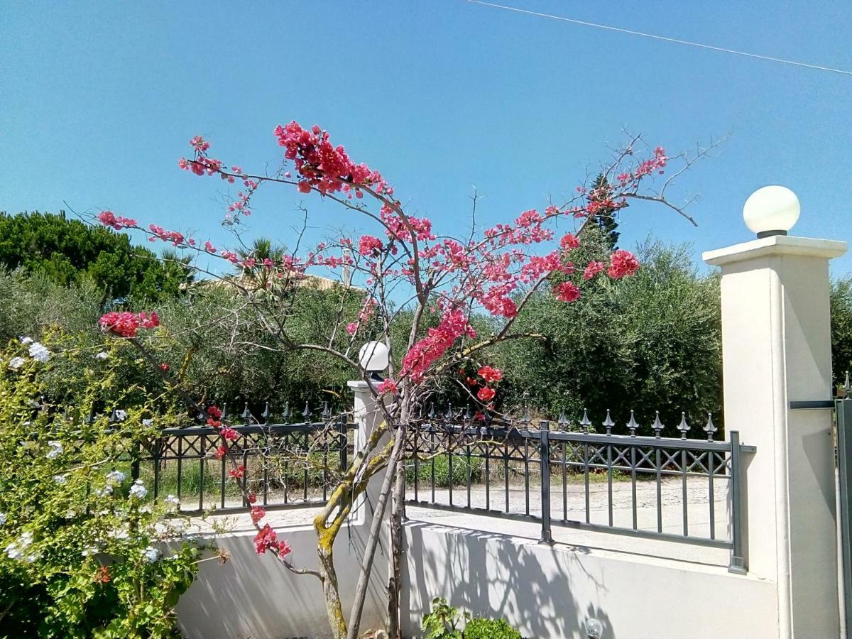 Esmeralda Zante House Appartement Argassi